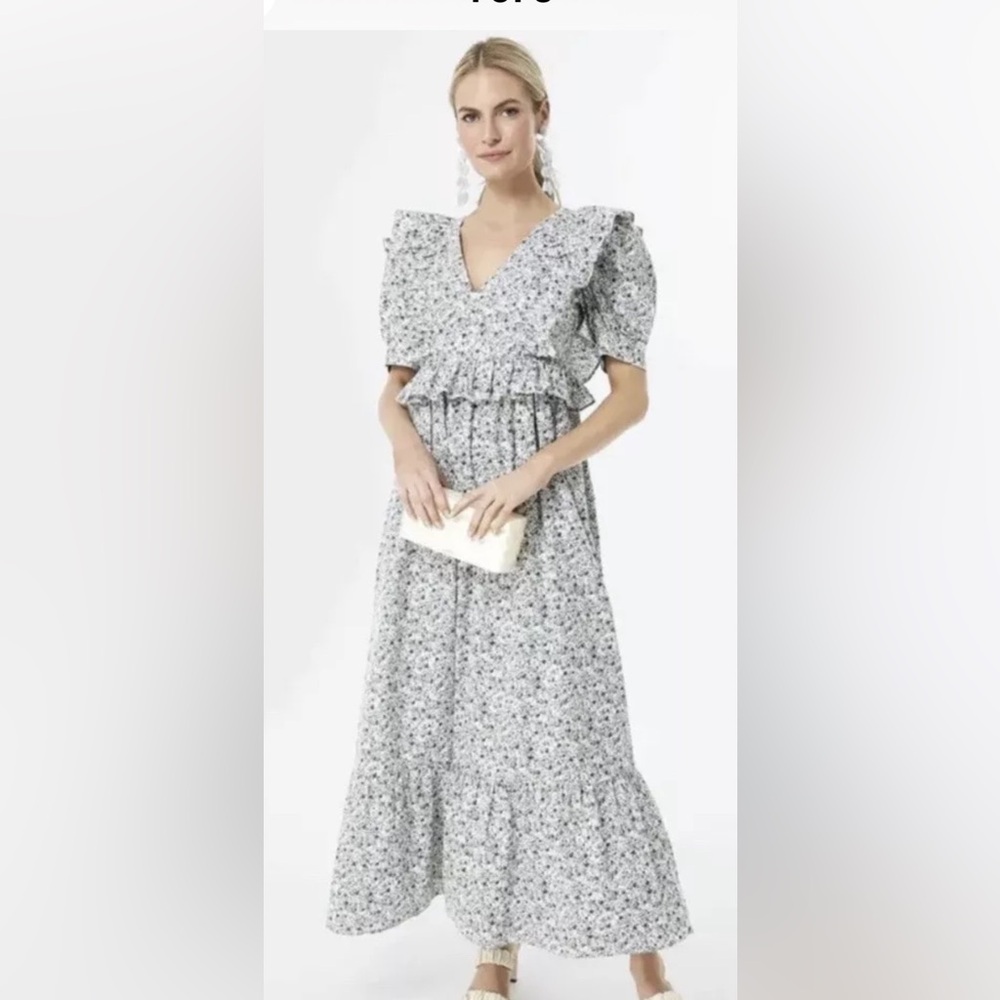 Tuckernuck Floral Maxi Dress - Blue and White
